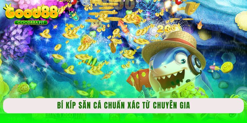 Bí kíp săn cá chuẩn xác từ chuyên gia