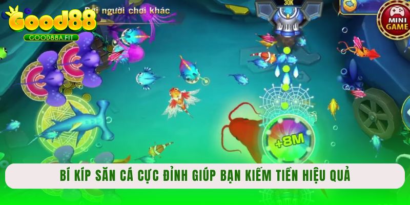 Bí kíp săn cá cực đỉnh giúp anh em kiếm tiền hiệu quả