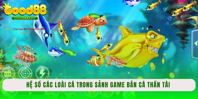 Hệ số các loài cá trong sảnh game bắn cá Thần Tài 