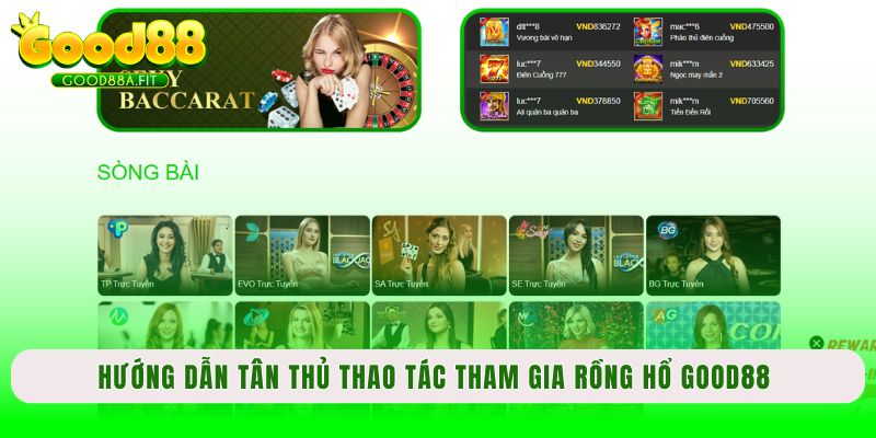 Hướng dẫn tân thủ thao tác tham gia Rồng hổ Good88 